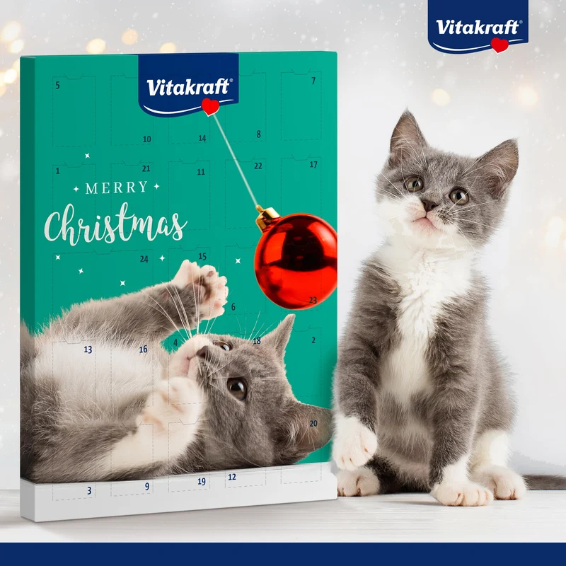 Calendario dell'avvento Gatto 2024, deliziosi snack accuratamente selezionati,golosità per il periodo delle feste natalizie per gatti di tutte le età (1x363 g)