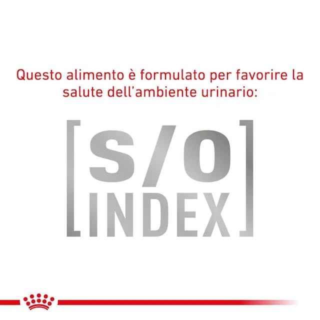12x85g Royal Canin Early Renal Veterinary - Umido Gatto