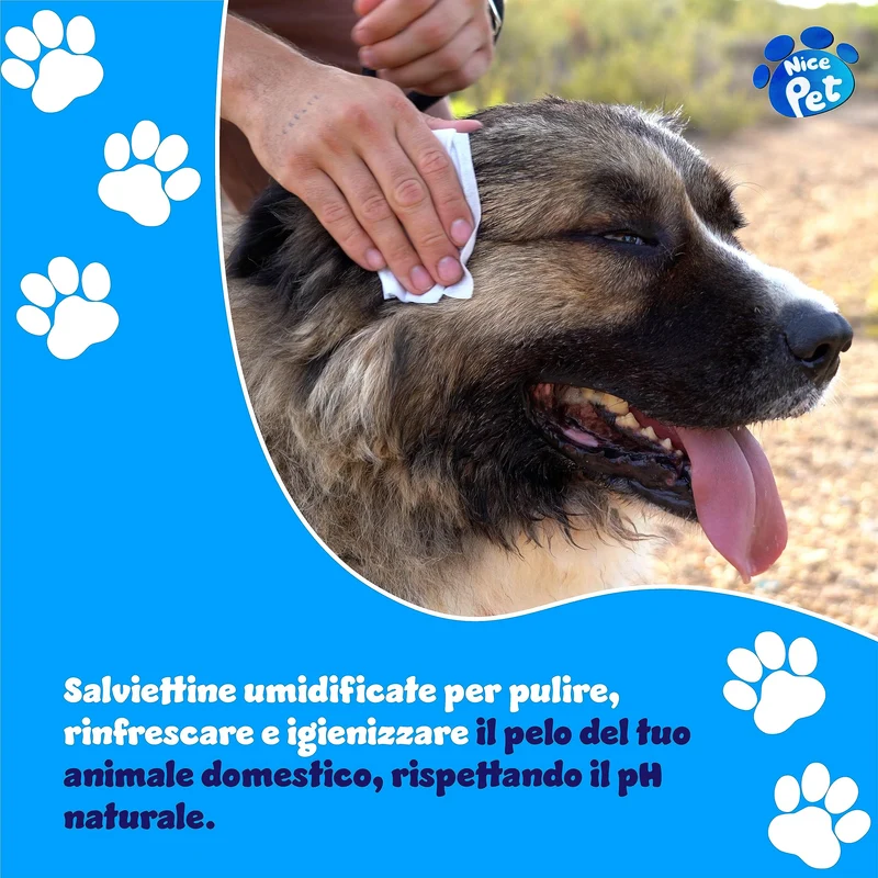 Nice Pet Salviette IGIENIZZANTI Cani, Gatti con CLOREXIDINA - 100 Salviette - Proteggono Il PH Naturale - Profum al Muschio - Salvette Ideali per l'igiene Manto di Cani e Gatti | Salviette Cane