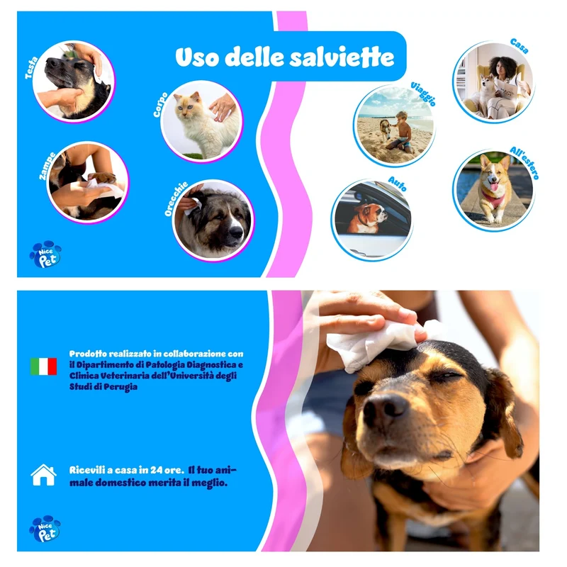 Nice Pet Salviette IGIENIZZANTI Cani, Gatti con CLOREXIDINA - 100 Salviette - Proteggono Il PH Naturale - Profum al Muschio - Salvette Ideali per l'igiene Manto di Cani e Gatti | Salviette Cane
