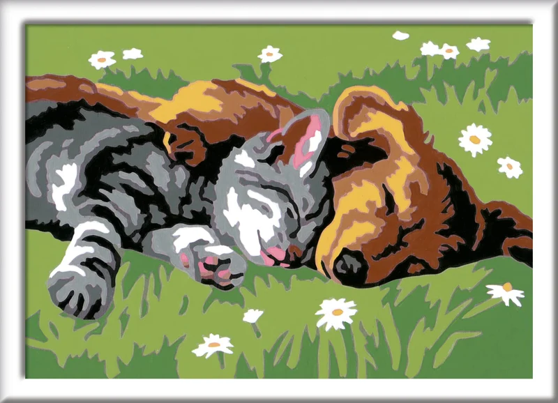 Ravensburger - CreArt Serie E, Cane e Gatto Dolce Sonno, Dipingere con i Numeri, Kit Pittura Bambini, Tema Animali, Cornice Inclusa, Gioco Educativo, Idea Regalo Bambini 7+ Anni, 22x16cm