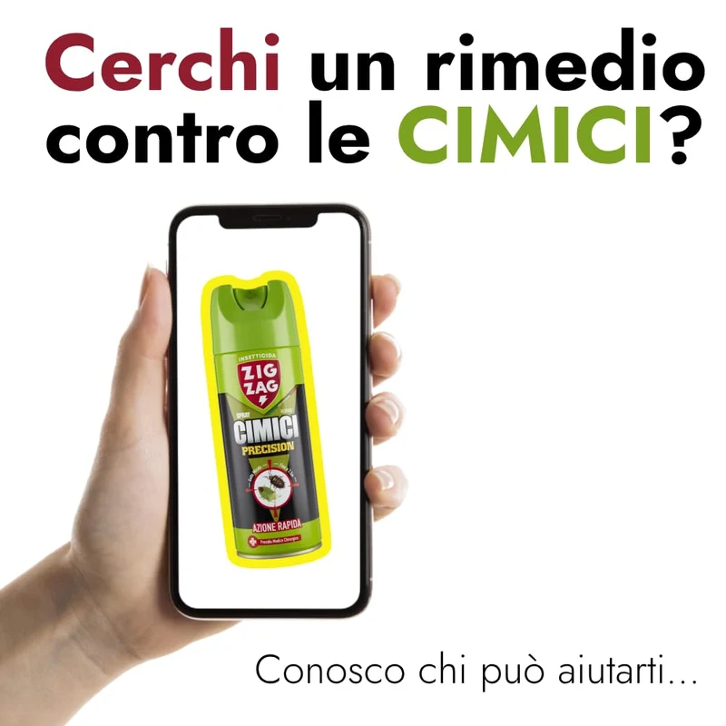 ZIG - ZAG Precision, Insetticida spray inodore, Ideale contro le cimici e i loro nidi, Efficacia fino a 2.5 m, Presidio Medico Chirurgico, 300 ml, 621