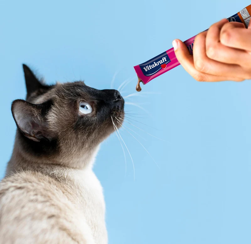 Vitakraft Vitakraft Liquid Snack liquido per Gatto, Salmone e Omega, 6 x 15g
