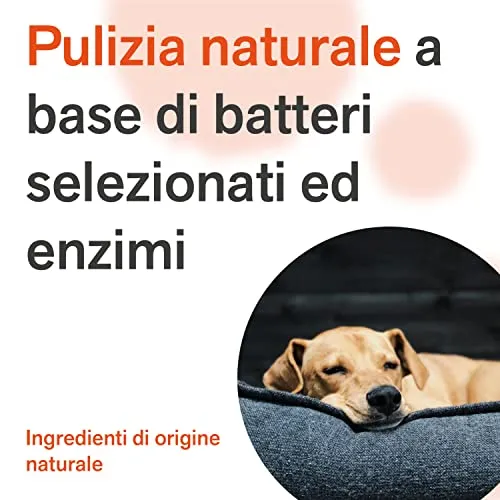 BactPro - BactPets elimina odori e Macchie per Cani e Gatti - Rimuove urina da Tessuti e superfici - Attivatore Biologico Professionale - Spray 700 ml