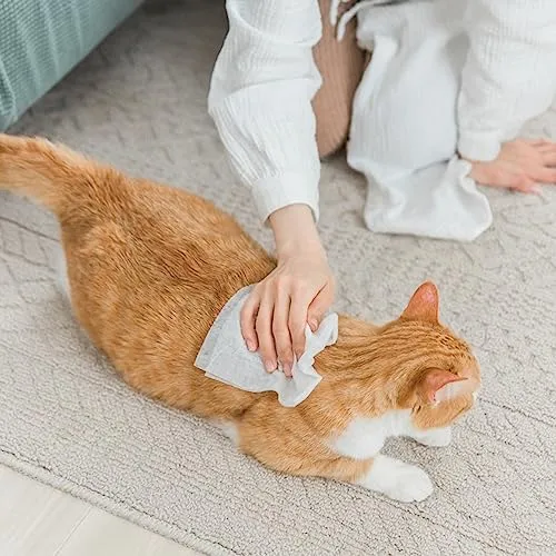 AMORE MIO | 110 Salviette al Talco Maxi Formato Extra Large per Il Manto di Cani, Gatti e Animali Domestici, Disinfettanti e Igienizzanti, 30x20 cm - 1 Confezione da 110 Salviettine