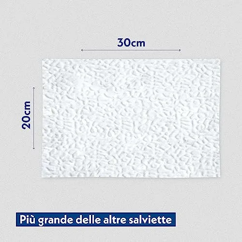 AMORE MIO | 110 Salviette al Talco Maxi Formato Extra Large per Il Manto di Cani, Gatti e Animali Domestici, Disinfettanti e Igienizzanti, 30x20 cm - 1 Confezione da 110 Salviettine
