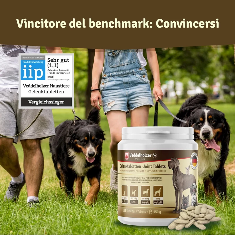 Veddelholzer Vincitore Certificato 2020 Compresse per Le articolazioni dei Cani integratori per Cani con cozza dalle Labbra Verdi MSM e Artiglio del Diavolo Glucosamina e collagene