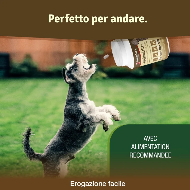 Veddelholzer Vincitore Certificato 2020 Compresse per Le articolazioni dei Cani integratori per Cani con cozza dalle Labbra Verdi MSM e Artiglio del Diavolo Glucosamina e collagene