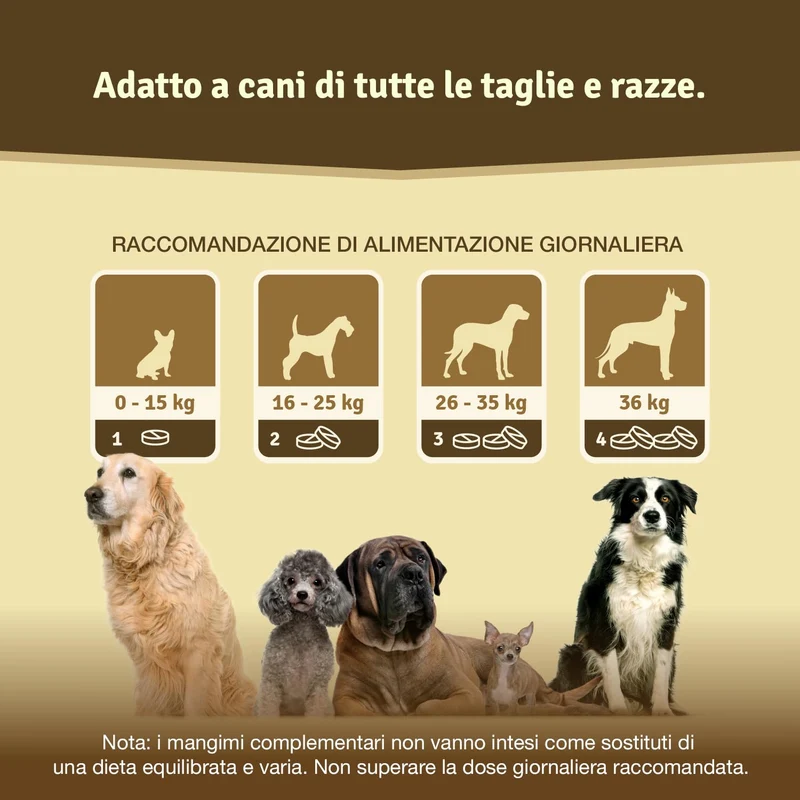 Veddelholzer Vincitore Certificato 2020 Compresse per Le articolazioni dei Cani integratori per Cani con cozza dalle Labbra Verdi MSM e Artiglio del Diavolo Glucosamina e collagene