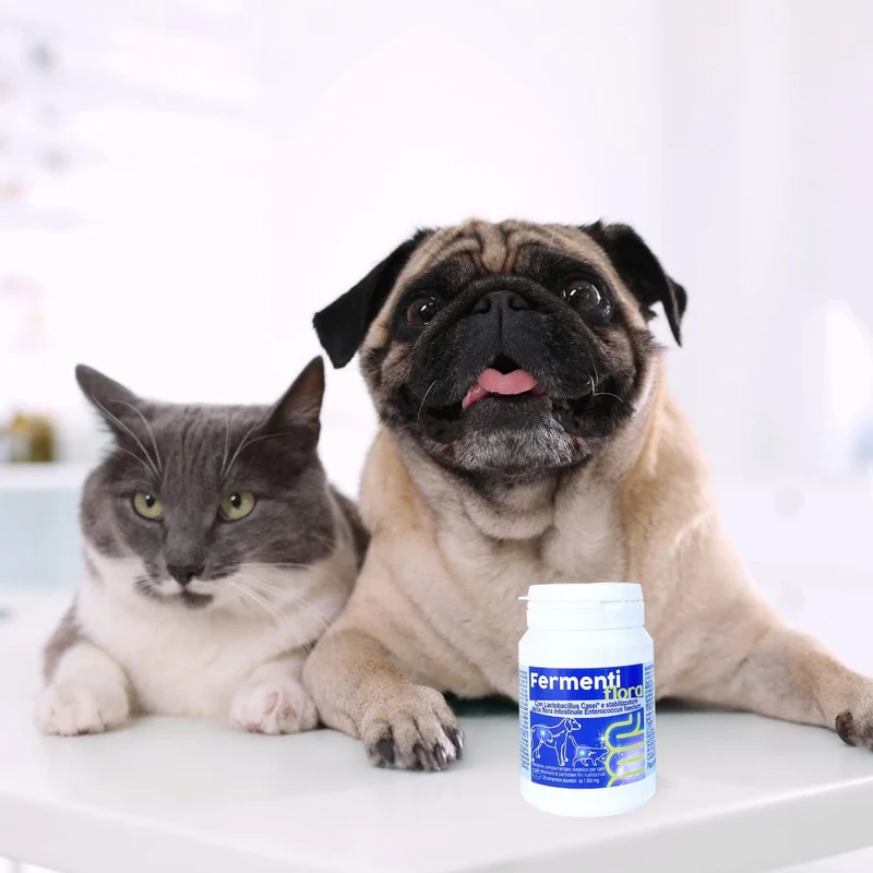 PETFORMANCE BENESSERE PER CANI E GATTI Fermentiflora - Fermenti per Cani e Gatti - Sostegno per l'Apparato Digerente, Ripristina la Flora Batterica - Molto Appetibile - 30 Compresse