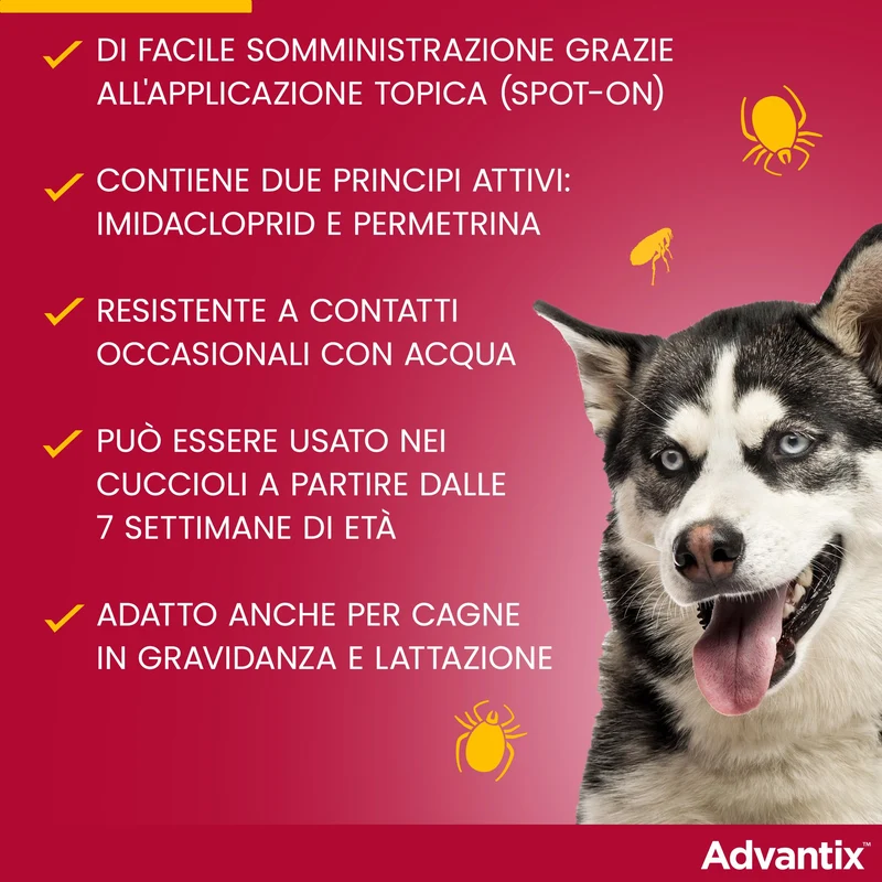 Advantix® Spot-on antiparassitario per Cani da 4 Kg fino a 10 Kg, 4 pipette da 1 ml. Elimina zecche, pulci, pidocchi in casa. Protegge da zanzare, pappataci e rischio di leishmaniosi.