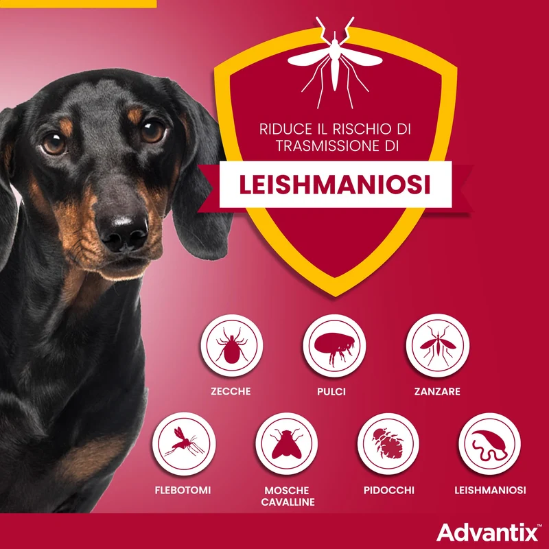 Advantix® Spot-on antiparassitario per Cani da 4 Kg fino a 10 Kg, 4 pipette da 1 ml. Elimina zecche, pulci, pidocchi in casa. Protegge da zanzare, pappataci e rischio di leishmaniosi.