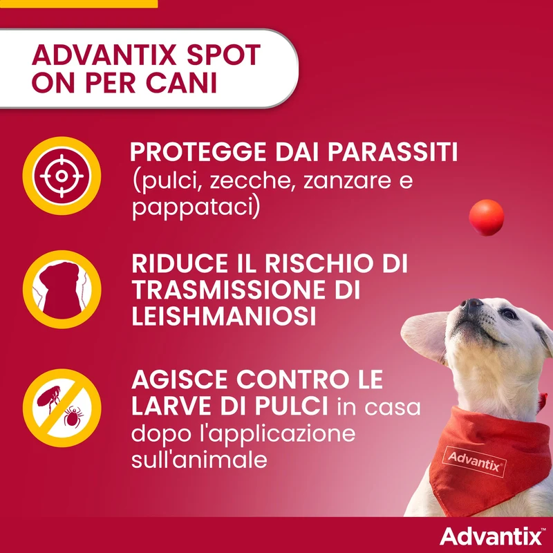Advantix® Spot-on antiparassitario per Cani da 4 Kg fino a 10 Kg, 4 pipette da 1 ml. Elimina zecche, pulci, pidocchi in casa. Protegge da zanzare, pappataci e rischio di leishmaniosi.