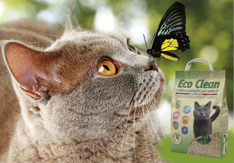 Croci Lettiera Eco Clean 10 L - Lettiera Gatti agglomerante, Biodegradabile si getta nel WC, 100% vegetale, Sabbia Antiodore di lunga durata
