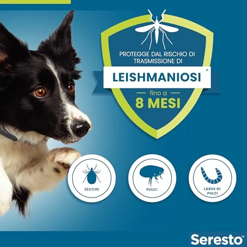 Elanco Seresto Collare antiparassitario, Per cani oltre 8 kg, Elimina pulci, zecche, pidocchi e protegge dal rischio di trasmissione, Della leishmaniosi fino a 8 mesi, 1 pezzo