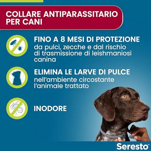 Elanco Seresto Collare antiparassitario, Per cani oltre 8 kg, Elimina pulci, zecche, pidocchi e protegge dal rischio di trasmissione, Della leishmaniosi fino a 8 mesi, 1 pezzo