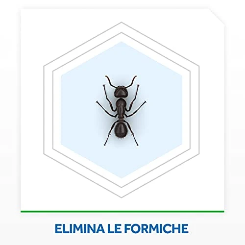 Raid Esca Formiche Insetticida, Pronta all'Uso in Spazi Interni ed Esterni, Confezione da 1 pezzo