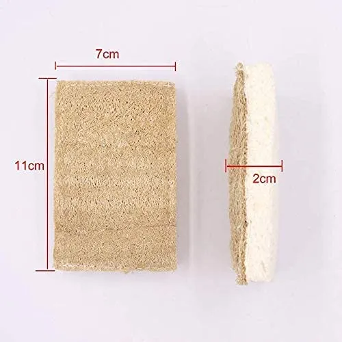 Luffa - Spugna da cucina sostenibile [set da 3 pezzi] – 100% biodegradabile, ecologica, lavabile, senza plastica