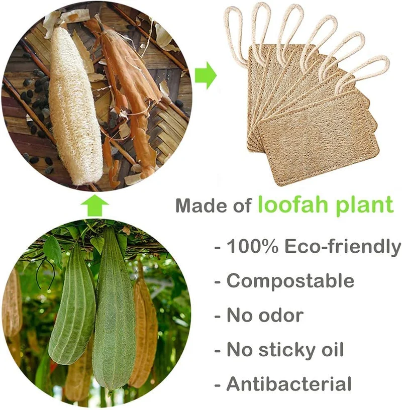 Spugna Cucina Naturale Organic Loofah esfoliante in Spugna di luffa,Natural Sponge da Cucina Eco,Spugna Scrubber Spazzola di Luffa，100% Organic, biodegradabile ed Ecologico