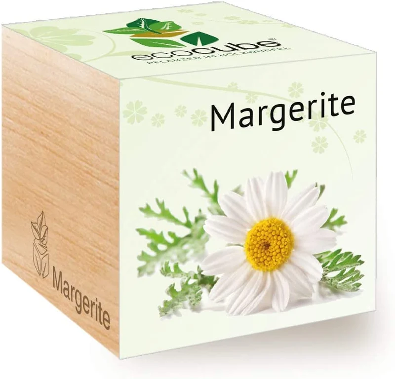 Feel Green Ecocube Margerite, Idea Regalo sostenibile (100% Eco Friendly), Grow Your Own/Set di Coltivazione, Piante nel Dado in Legno, Made in Austria