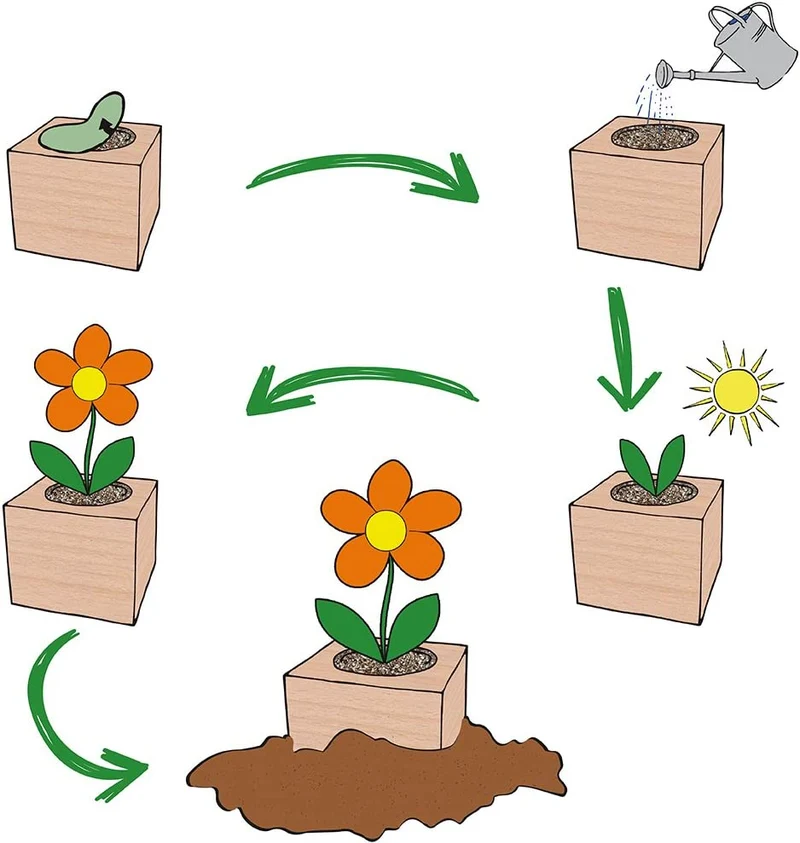 Feel Green Ecocube Margerite, Idea Regalo sostenibile (100% Eco Friendly), Grow Your Own/Set di Coltivazione, Piante nel Dado in Legno, Made in Austria