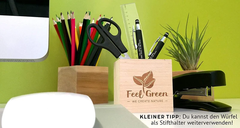 Feel Green Ecocube Margerite, Idea Regalo sostenibile (100% Eco Friendly), Grow Your Own/Set di Coltivazione, Piante nel Dado in Legno, Made in Austria