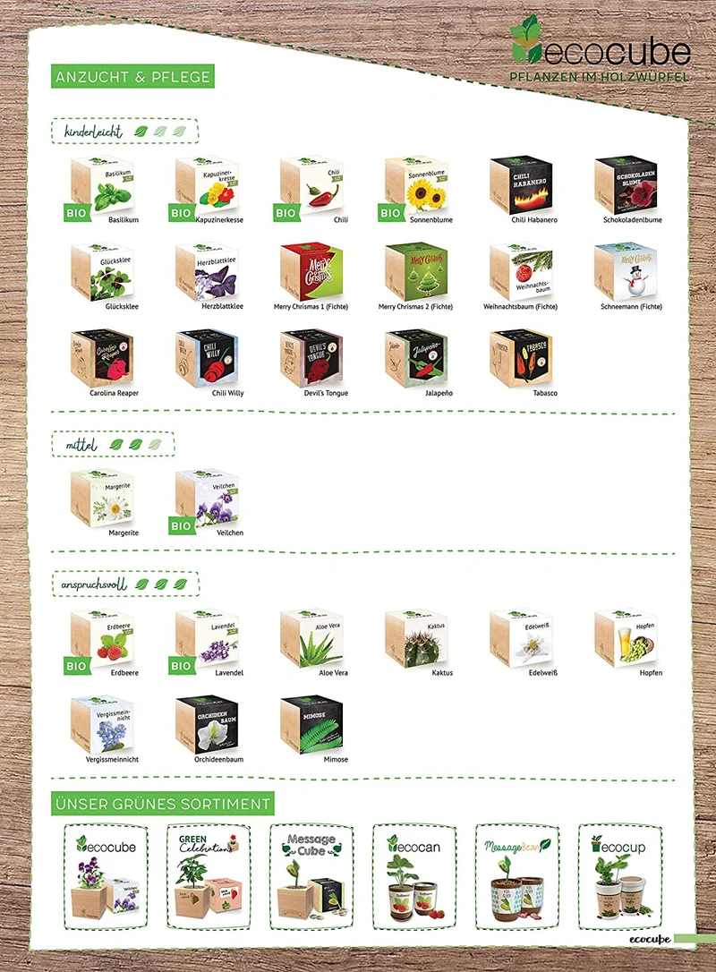 Feel Green Ecocube Margerite, Idea Regalo sostenibile (100% Eco Friendly), Grow Your Own/Set di Coltivazione, Piante nel Dado in Legno, Made in Austria