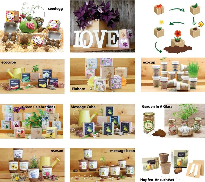 Feel Green Ecocube Margerite, Idea Regalo sostenibile (100% Eco Friendly), Grow Your Own/Set di Coltivazione, Piante nel Dado in Legno, Made in Austria
