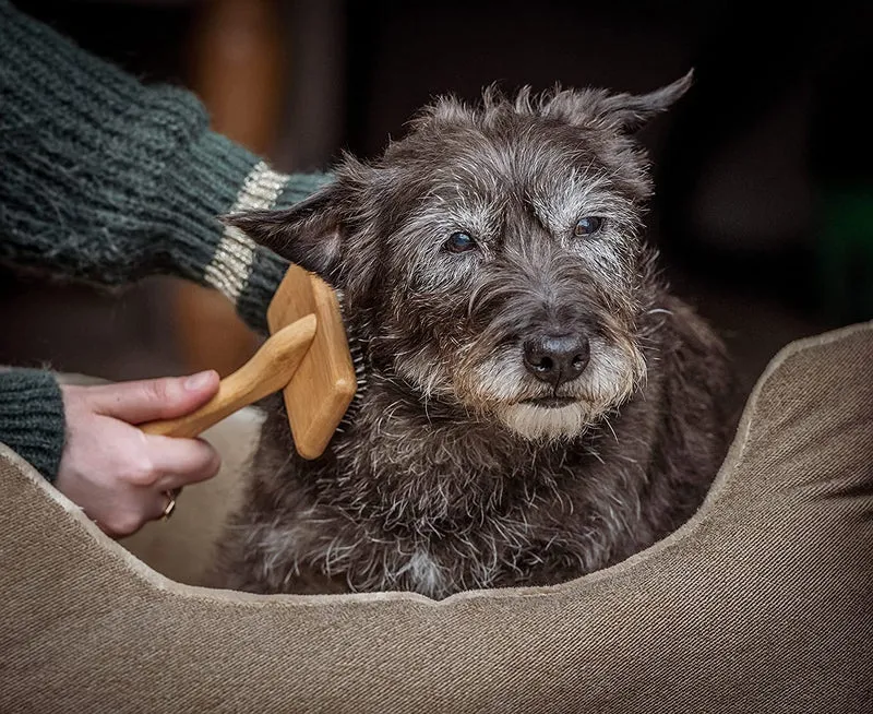 Mikki Spazzola Con Dentini Per Pelo Morto In Bambù, Per Pelo Medio/Lungo/Riccio, Per Cani E Gatti, Realizzato Con Bambù Sostenibile, Per Rimuovere Grovigli E Nodi Dal Pelo, Piccolo - 60 g