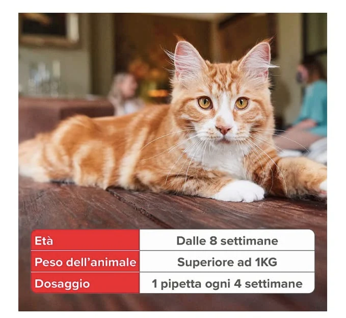 Fiprotec Gatto 50 MG -