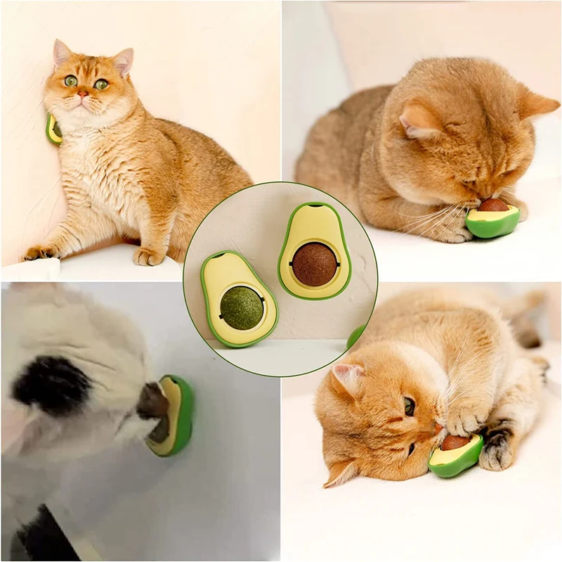 Palline di Erba Gatta Catnip Ball Rotante Giocattolo Interattivo per Gatti Gattino Pulizia Denti