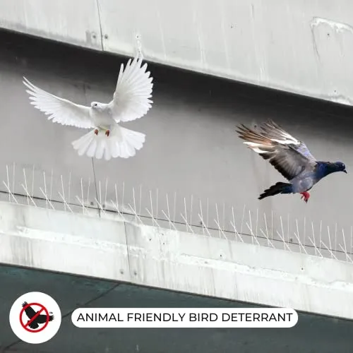 NO Birds | Dissuasori per Piccioni | Barriera Anti Uccelli per Balcone Terrazza Finestra | Spuntoni Extra Lunge | Acciaio Inossidabile e Alluminio | 4 pezzi | Lunghezza Totale 1,09 Metri