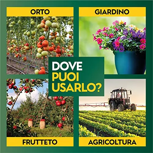 Albagarden - Olio Di Neem Per Piante 1 Litro - Naturale Concentrato Contro Insetti Funghi Cocciniglia, Acari Afidi Pulci, Cimici, Pidocchi, Vespe E Calabroni - Spray Pronto Uso