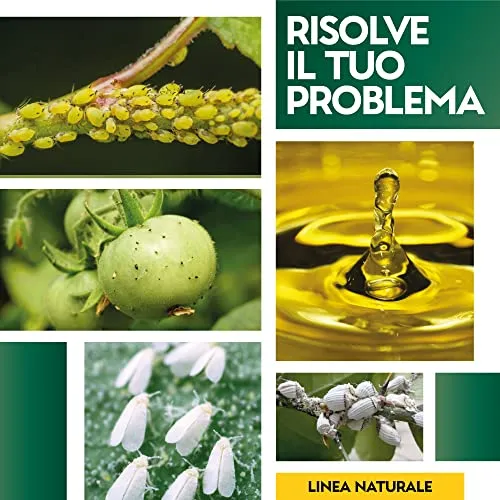 Albagarden - Olio Di Neem Per Piante 1 Litro - Naturale Concentrato Contro Insetti Funghi Cocciniglia, Acari Afidi Pulci, Cimici, Pidocchi, Vespe E Calabroni - Spray Pronto Uso