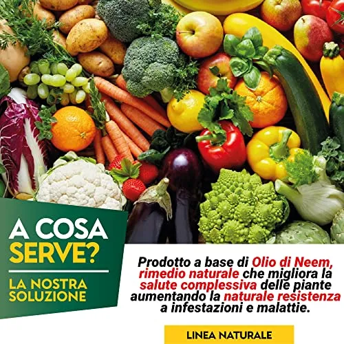 Albagarden - Olio Di Neem Per Piante 1 Litro - Naturale Concentrato Contro Insetti Funghi Cocciniglia, Acari Afidi Pulci, Cimici, Pidocchi, Vespe E Calabroni - Spray Pronto Uso
