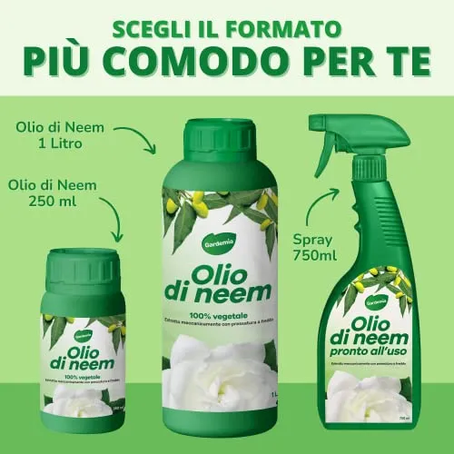 Gardemia Olio di Neem per Piante 250ml 100% Vegetale Azione Naturale contro varie Avversità Giardino Casa Multiuso Estratto Meccanicamente con Pressatura a Freddo Straordinarie Proprietà Naturali