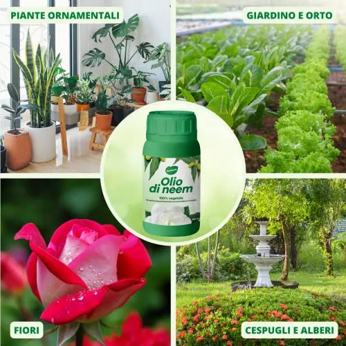 Gardemia Olio di Neem per Piante 250ml 100% Vegetale Azione Naturale contro varie Avversità Giardino Casa Multiuso Estratto Meccanicamente con Pressatura a Freddo Straordinarie Proprietà Naturali