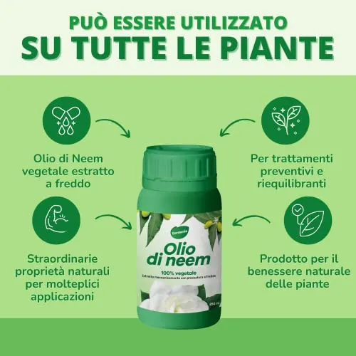 Gardemia Olio di Neem per Piante 250ml 100% Vegetale Azione Naturale contro varie Avversità Giardino Casa Multiuso Estratto Meccanicamente con Pressatura a Freddo Straordinarie Proprietà Naturali