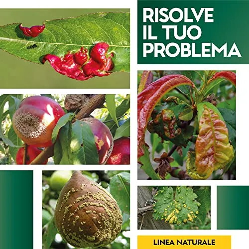 Albagarden - Fungicida Piante Per Bolla Del Pesco Per Agricoltura Biologica - Lecitina Funghicida Naturale Per Trattamento di Oidio Peronospora Alternaria - Polvere Solubile X 100 gr