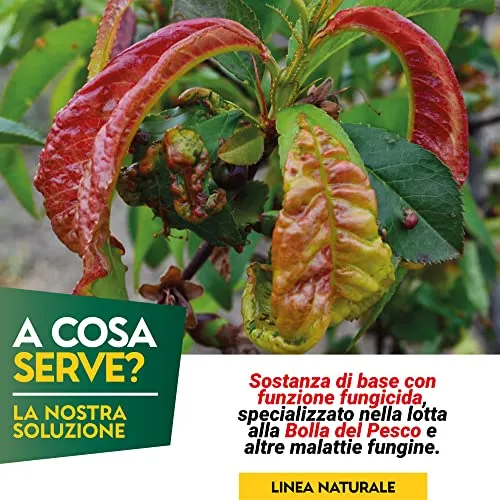 Albagarden - Fungicida Piante Per Bolla Del Pesco Per Agricoltura Biologica - Lecitina Funghicida Naturale Per Trattamento di Oidio Peronospora Alternaria - Polvere Solubile X 100 gr