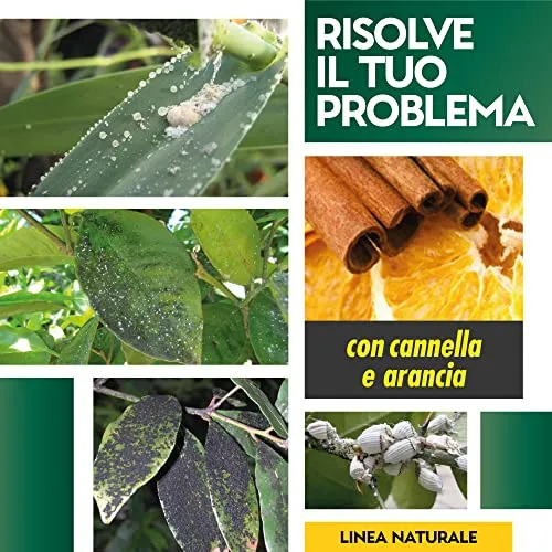 Albagarden - Sapone Molle di Potassio x 1 Litro - Corroborante Naturale Effetto Insetticida Piante Bio - Potenzia Le Difese Delle Piante Da Insetti Cocciniglia Pidocchi Ragnetto Rosso Cimici Spray