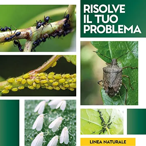 Albagarden - Sapone Molle di Potassio x 1 Litro - Corroborante Naturale Effetto Insetticida Piante Bio - Potenzia Le Difese Delle Piante Da Insetti Cocciniglia Pidocchi Ragnetto Rosso Cimici Spray