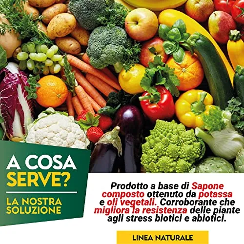 Albagarden - Sapone Molle di Potassio x 1 Litro - Corroborante Naturale Effetto Insetticida Piante Bio - Potenzia Le Difese Delle Piante Da Insetti Cocciniglia Pidocchi Ragnetto Rosso Cimici Spray