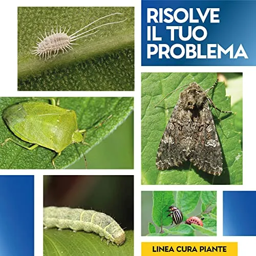Albagarden - Insetticida Piante Tripla Azione, Aficida, Con Deltametrina Concentrato Forte, Stop Popillia Japonica Cocciniglia Insetti Afidi Cimici Piralide, Effetto Veleno Repellente X 50 ml