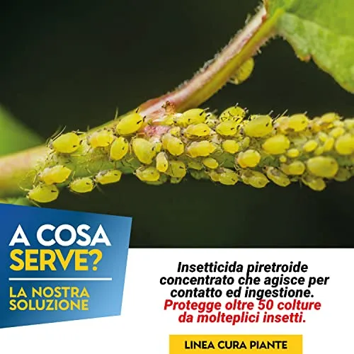 Albagarden - Insetticida Piante Tripla Azione, Aficida, Con Deltametrina Concentrato Forte, Stop Popillia Japonica Cocciniglia Insetti Afidi Cimici Piralide, Effetto Veleno Repellente X 50 ml