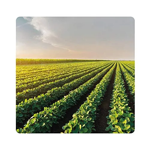Albagarden - Piante Frutta Naturale Bio Polti20 Biologico Bordolese Rame + Boro Orto Vite Peronospora Oidio Verderame Solfato Ossicloruro x 1 kg