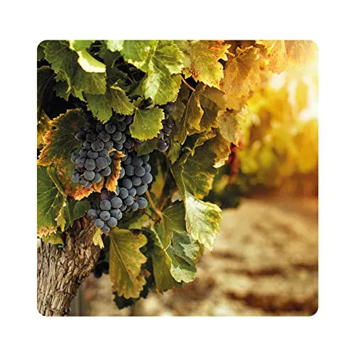 Albagarden - Piante Frutta Naturale Bio Polti20 Biologico Bordolese Rame + Boro Orto Vite Peronospora Oidio Verderame Solfato Ossicloruro x 1 kg