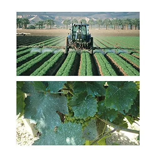 Albagarden - Piante Frutta Naturale Bio Polti20 Biologico Bordolese Rame + Boro Orto Vite Peronospora Oidio Verderame Solfato Ossicloruro x 1 kg