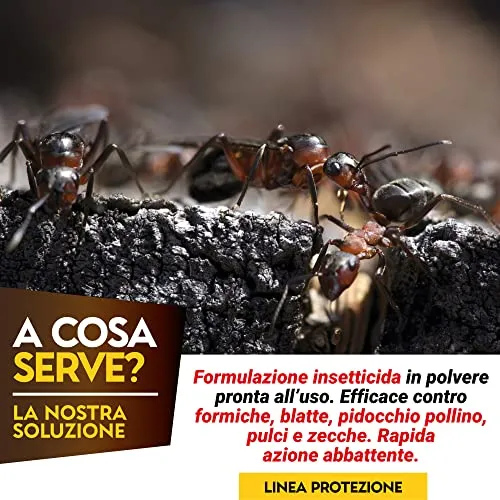 Albagarden Albakill - Esca Anti Formiche Veleno - Insetticida Micro Granulare Per Ambienti Esterni Orto Casa Scarafaggi Grillotalpa Insetti Pulci Zecche Lumache Solubile Spray Antiformiche
