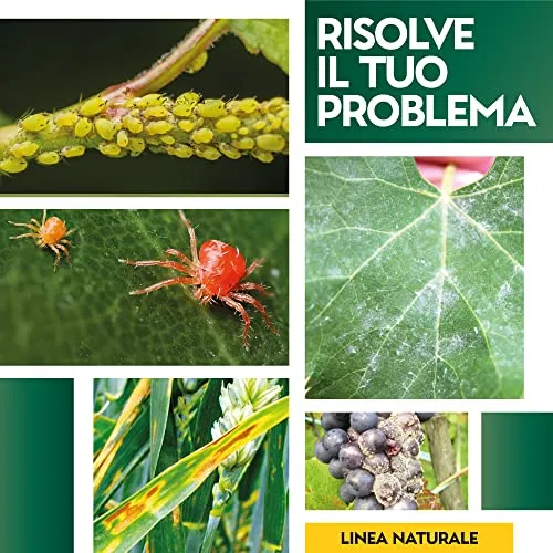 Albagarden Tripla Azione Naturale - Insetticida - Fungicida - Acaricida Per Piante Pronta All'Uso A Base Di Equiseto E Ortica - Spray Biologico X 1 Lt